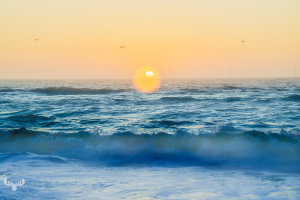 14363 - Smooth, dreamy sunset at North Sea