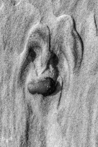 14371 - Sand & stone dog face, B/W