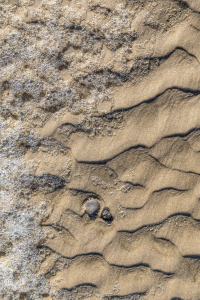 14376 - Sea foam and sand structures at North Sea beach