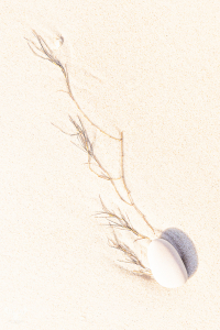 14378 - Stone and sea grass structure on North Sea beach, Highkey