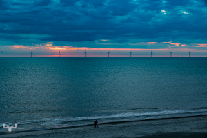 14463 - Nr.Lyngvig North sea beach with people