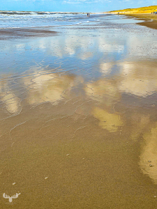 14505 - North Sea beach with sky mirroring