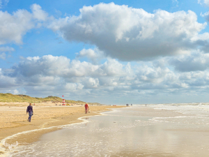 14506 - Søndervig summer beach