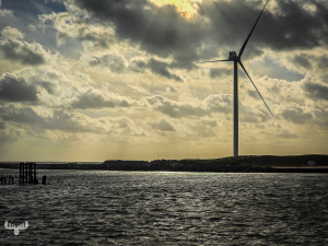 14508 - Hvide Sande harbor with wind turbine at sunset
