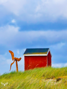 14509 - Red hut with wind turbine model in Hvide Sande