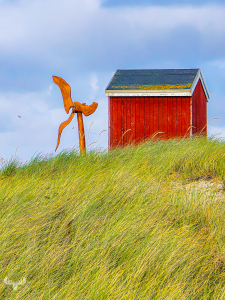 14510 - Red hut with wind turbine model in Hvide Sande