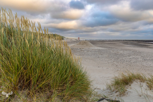14516 - Hvide Sande beach with clouds