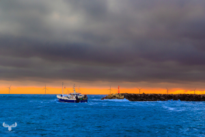 14544 - Hvide Sande Pier with fishing boat and sunset sky
