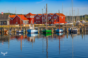 14571 - Ebeltoft harbor with boats and red houses, colorful