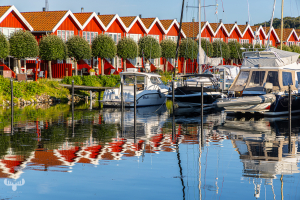 14578 - Red houses at Ebeltoft harbor