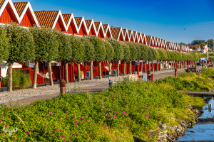 14580 - Red houses and promenade at Ebeltoft harbor