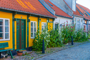 14586 - Old houses with hollyhock flowers