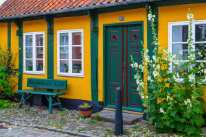 14608 - Old house with hollyhock flowers, Skipperhuset bænk