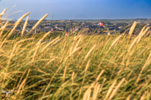 14614 - Sommerhouses behind dune-grass