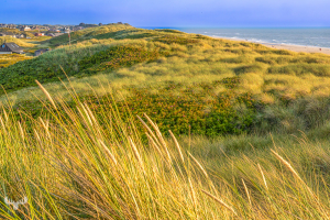 14617 - Summerhouses, Dunes and North Sea beach