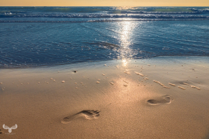 14622 - Footsteps in beach sand at sunset