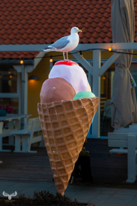 14630 - Seagull on large ice cream cone promo