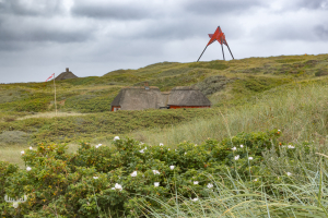 14667 - Vedersø Klit Båke seasign and summer houses