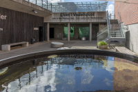 TE_3783