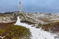 14184 - Nr.Lyngvig Fyr ligthouse with snowy landscape in winter