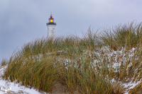 14186 - Beachgrass with snow, Nr.Lyngvig Fyr ligthouse in background
