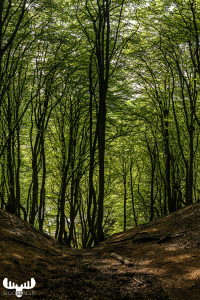 d070_0615