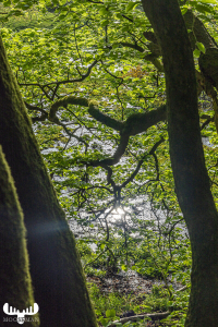 d070_0623