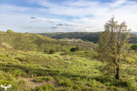 d070_0640