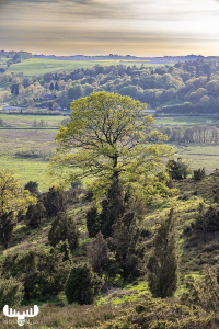 d070_0641