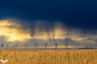 14107 - Wind turbines under dramatic morning sky