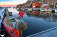 14124 - Sunrise at Stauning Havn harbour