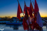 14136 - Morning sun through fishing boat flags at Stauning Havn harbour