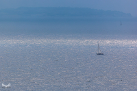 TE_2877-Bearbeitet