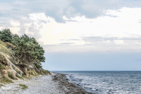 TE_2917-Bearbeitet